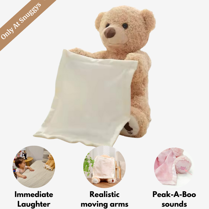 Peek-A-Boo Teddy