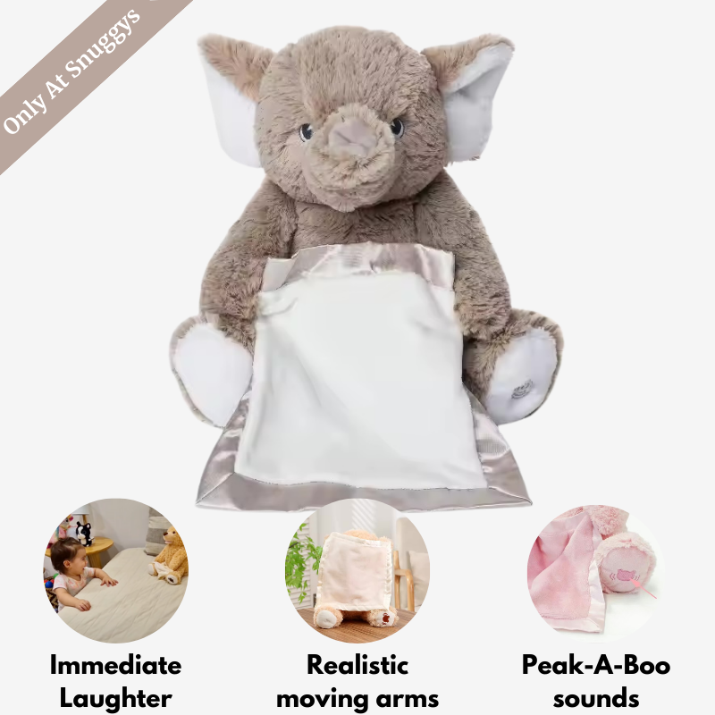 Peek-A-Boo Teddy