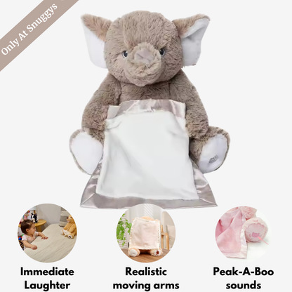 Peek-A-Boo Teddy